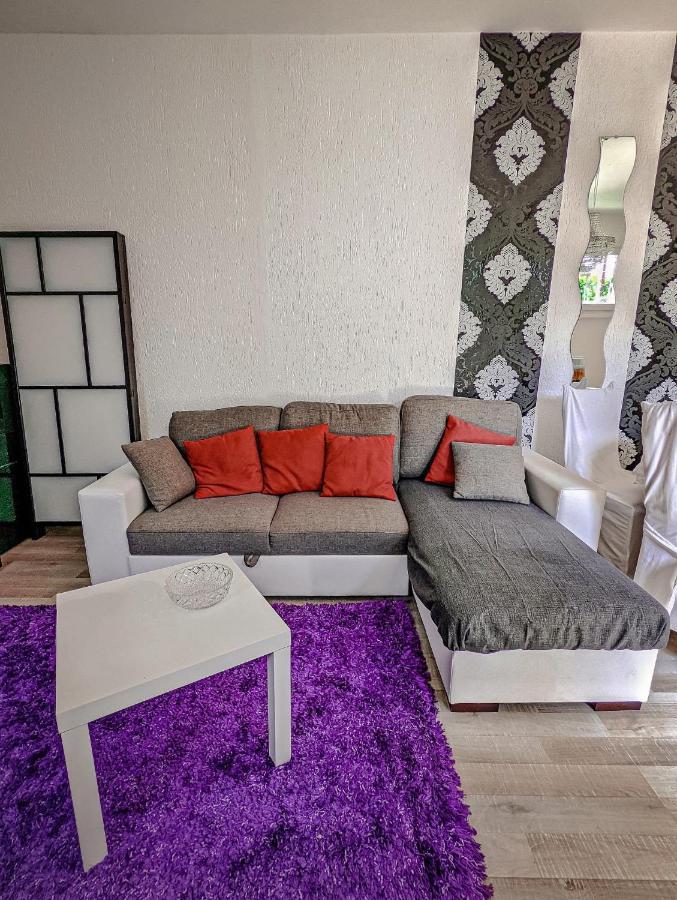 Casa Victoria Villa Castelletto sopra Ticino Kültér fotó